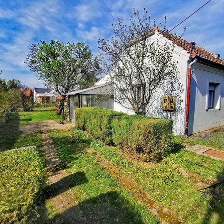 Апартаменти Dolce Weekend Balaton Балатондьєрек Екстер'єр фото